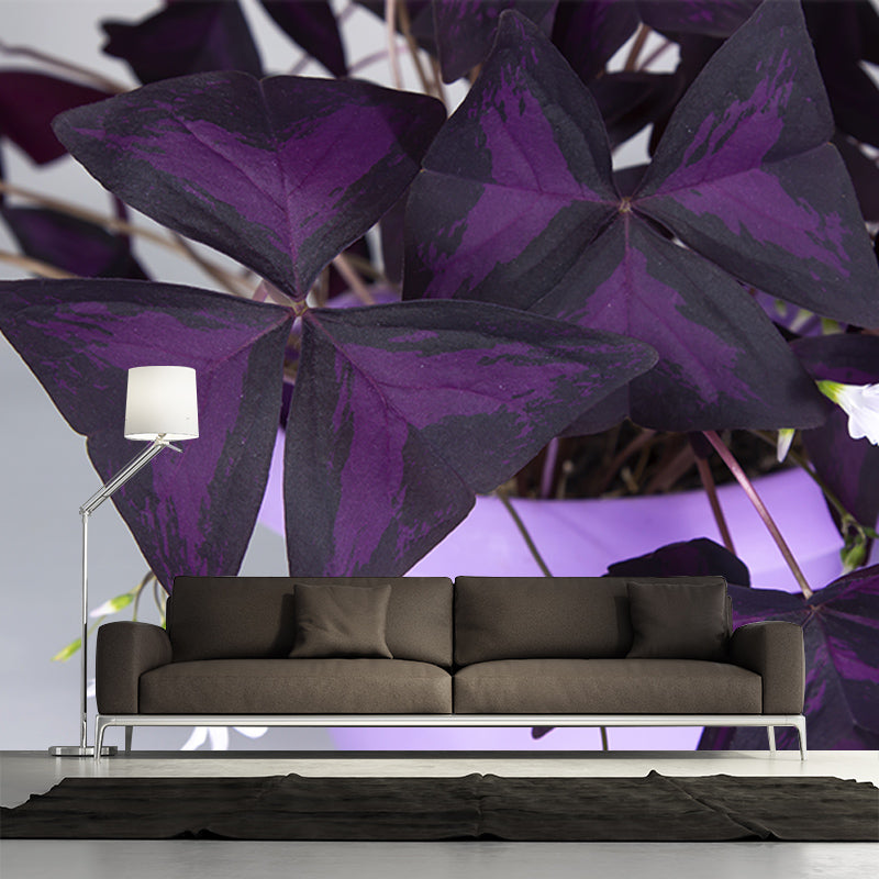 Houseplant Photo Wall Mural for Sleeping Room Home Decor, Made to Measure