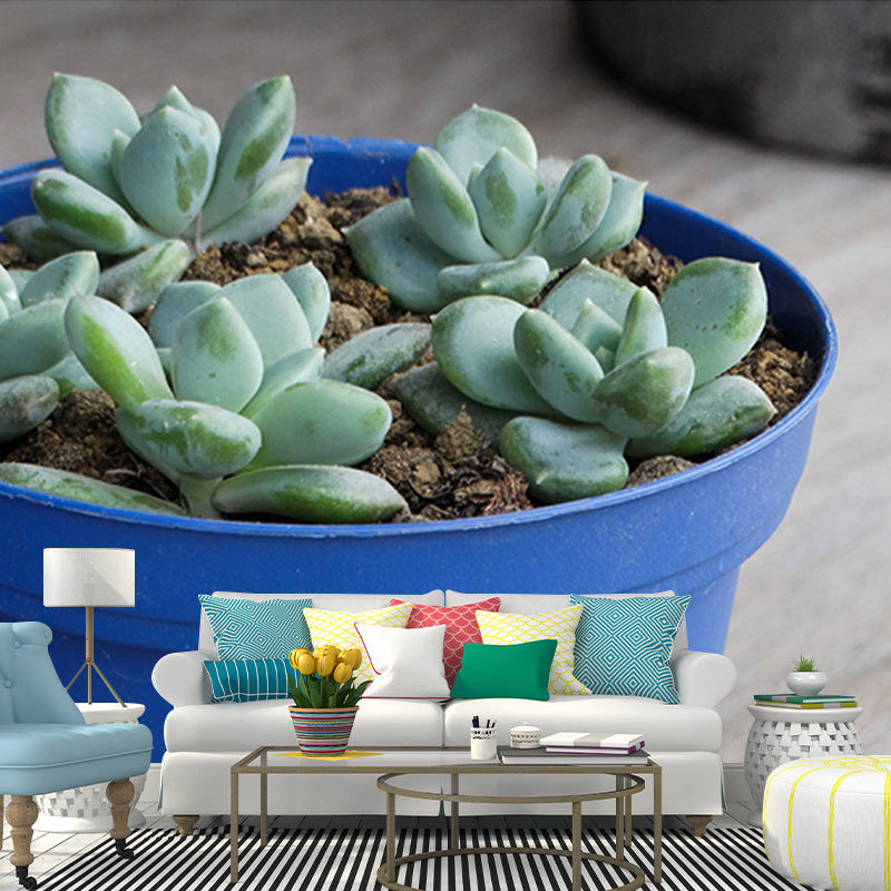 Houseplant Photo Wall Mural for Sleeping Room Home Decor, Made to Measure