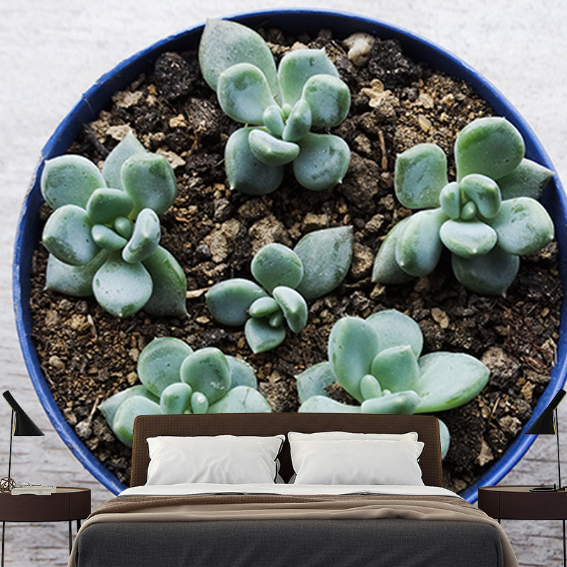 Houseplant Photo Wall Mural for Sleeping Room Home Decor, Made to Measure