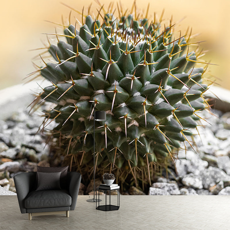 Succulent Houseplant Contemporary Mural for Office Room, Green, Custom Size Available