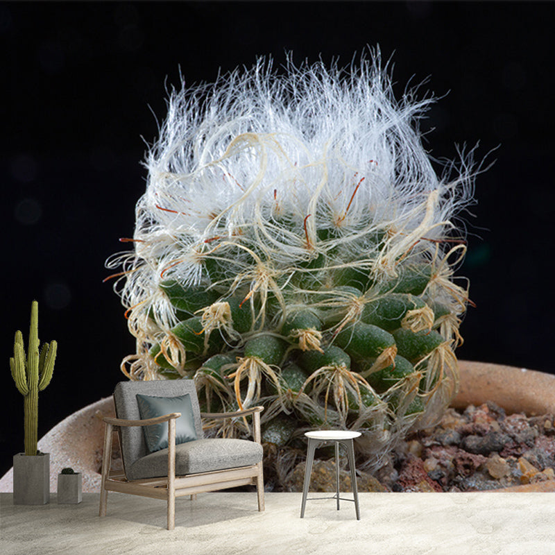 Succulent Houseplant Contemporary Mural for Office Room, Green, Custom Size Available