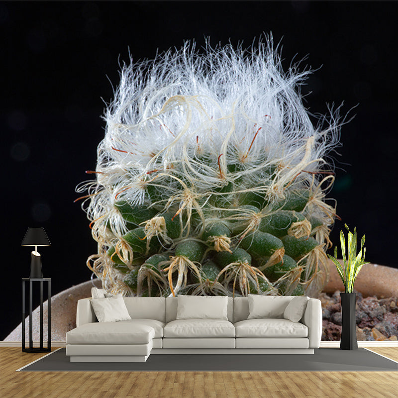 Succulent Houseplant Contemporary Mural for Office Room, Green, Custom Size Available