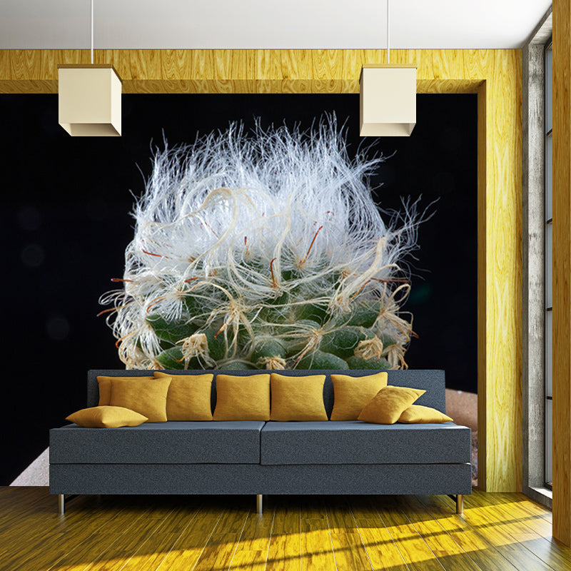 Succulent Houseplant Contemporary Mural for Office Room, Green, Custom Size Available