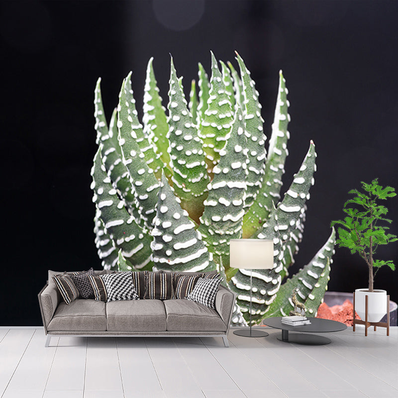 Succulent Houseplant Contemporary Mural for Office Room, Green, Custom Size Available