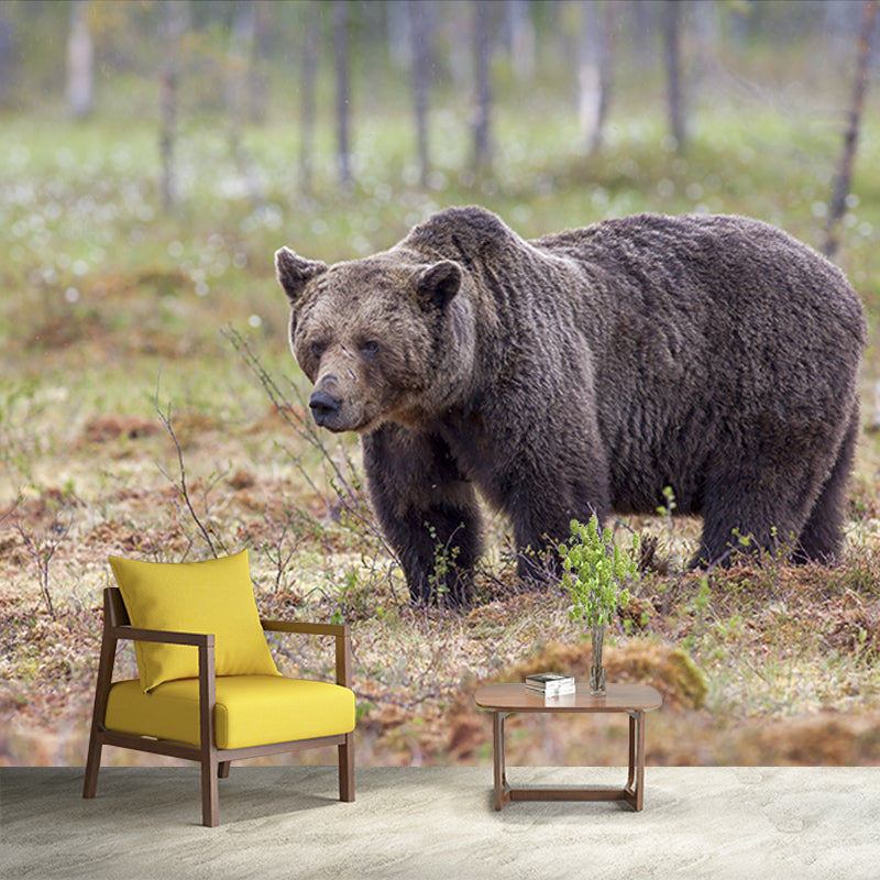 Dumb Bear Wall Covering Waterproof Mural Wallpaper for Living Room, Made to Measure