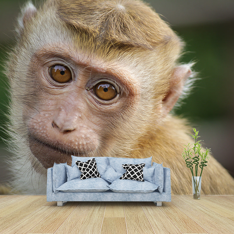 Monkey Animal Moisture-Resistant Mural Wallpaper Nordic Wall Art for Home Decoration