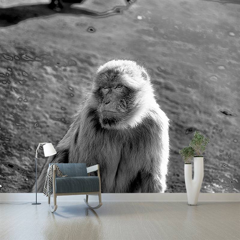 Monkey Animal Moisture-Resistant Mural Wallpaper Nordic Wall Art for Home Decoration