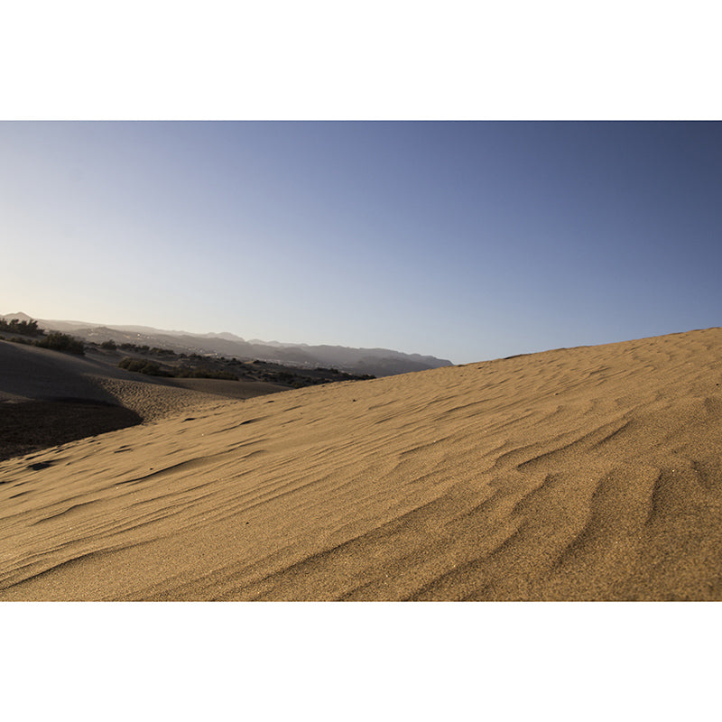 Desert Landscape Wall Decor for Gust Room Moisture Resistant, Custom Size Available