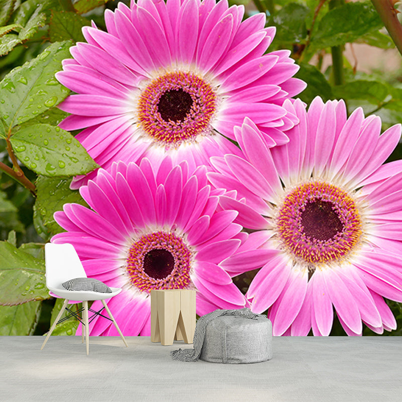 Chrysanthemum Mural Wallpaper Custom-Made Wall Covering for Bedroom Gust Room