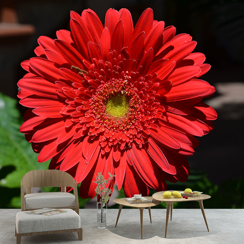 Chrysanthemum Mural Wallpaper Custom-Made Wall Covering for Bedroom Gust Room