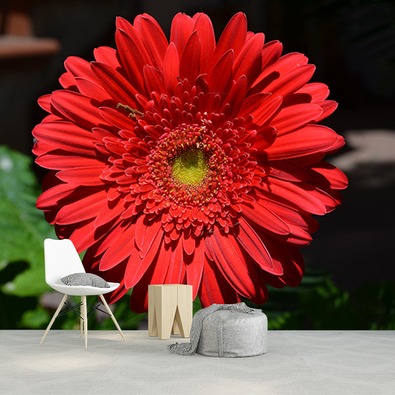 Chrysanthemum Mural Wallpaper Custom-Made Wall Covering for Bedroom Gust Room