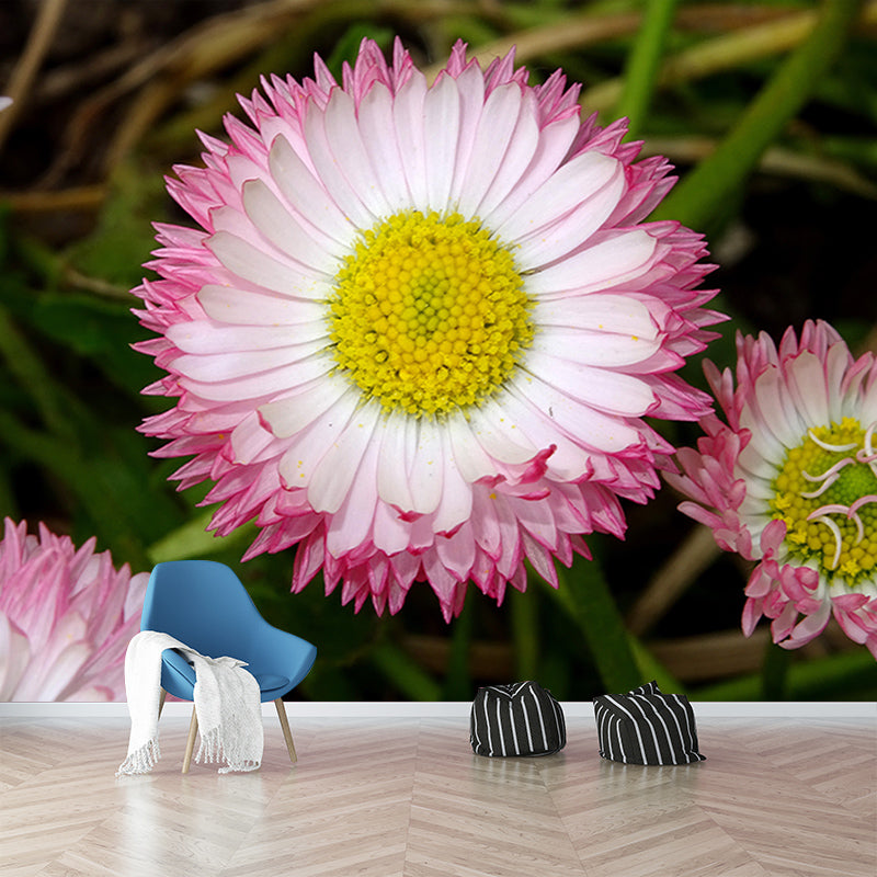 Elegant Chrysanthemum Murals Modern Wall Covering for Sitting Room, Water Resistant