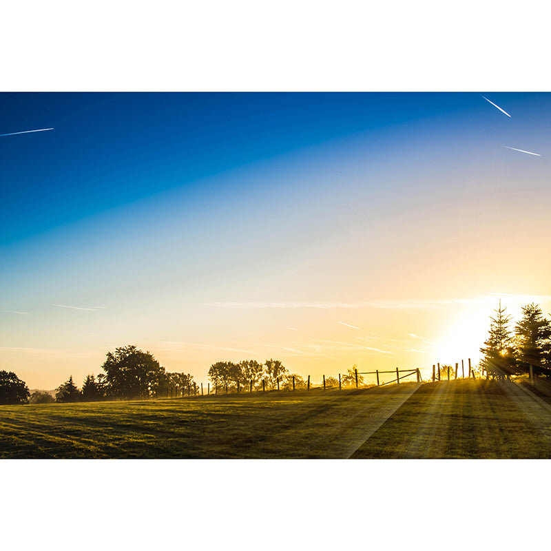 Beautiful Scenery Mural Sky Pattern Mildew Resistant for Dining Room Wall Decor