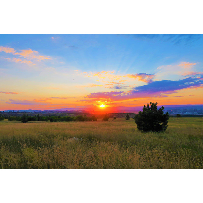 Beautiful Scenery Mural Sky Pattern Mildew Resistant for Living Room Wall Decor