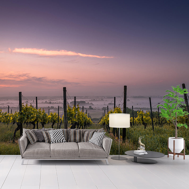 Customized Modern Sky Wall Mural Moisture Resistant Wall Art for Sitting Room