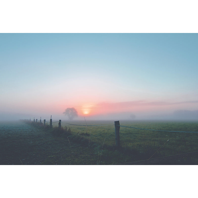 Contemporary Sky Scenery Mural Eco-friendly Home Decor for Living Room