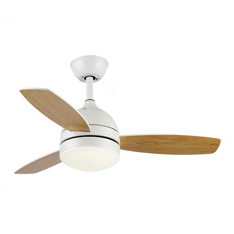 Lámpara de ventilador de techo de jardín de domos LED SEMI SEMI SEMPLIS