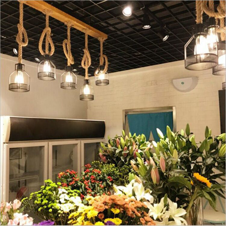 Birdcage Industrial Island Light Hemple d'éclairage de corde pour le café