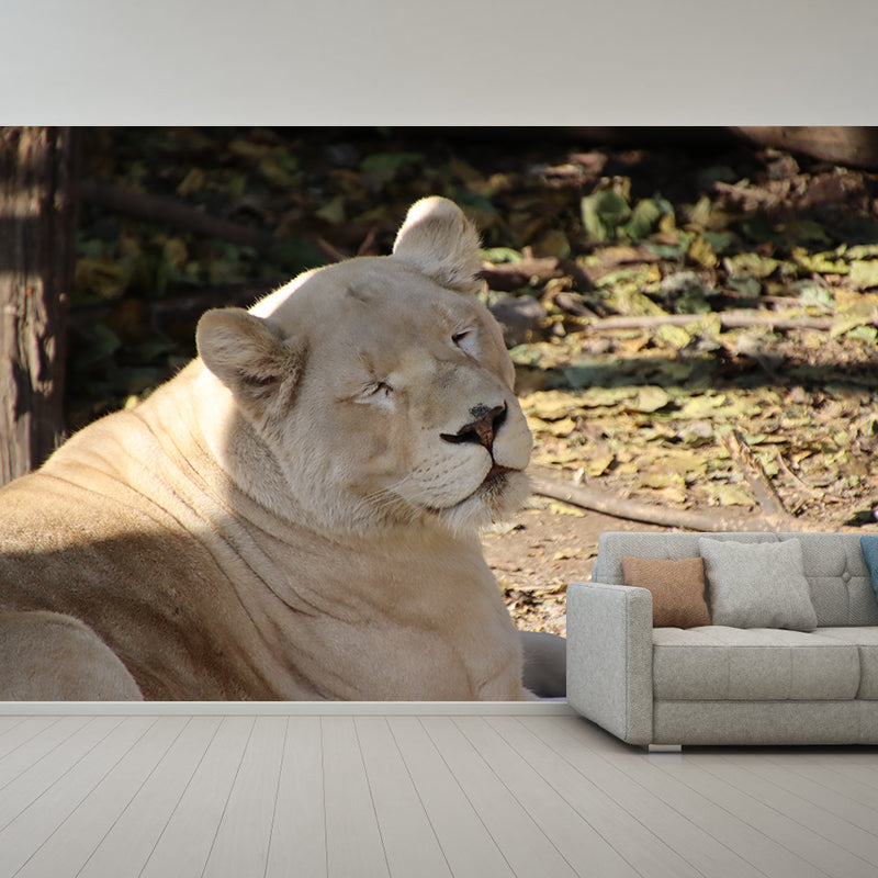 Lioness Mural Environment Friendly Wallpaper Home Decoration for Living Room