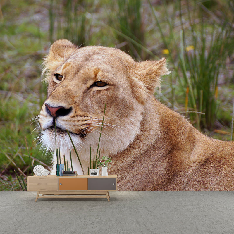 Lioness Mural Environment Friendly Wallpaper Home Decoration for Living Room