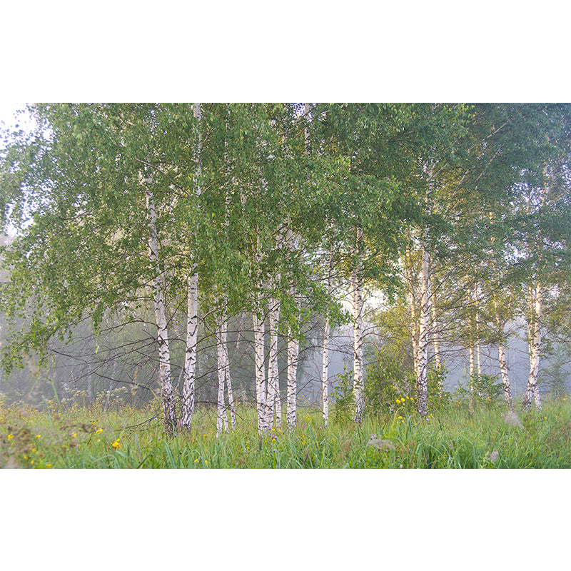 Green Forest Mural Environment Friendly Wallpaper Home Decoration for Living Room