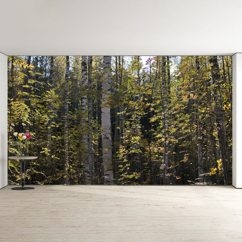 Green Forest Mural Environment Friendly Wallpaper Home Decoration for Living Room