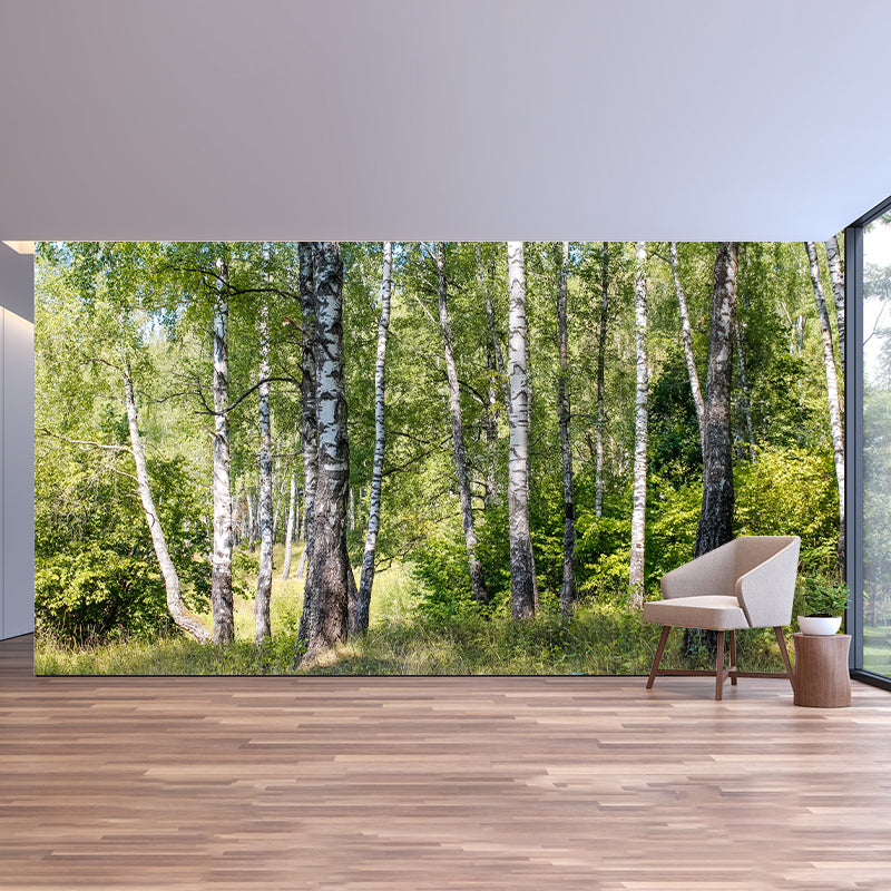 Forest Minimalism Style Mural Wallpaper for Living Room Bedroom, Waterproofing
