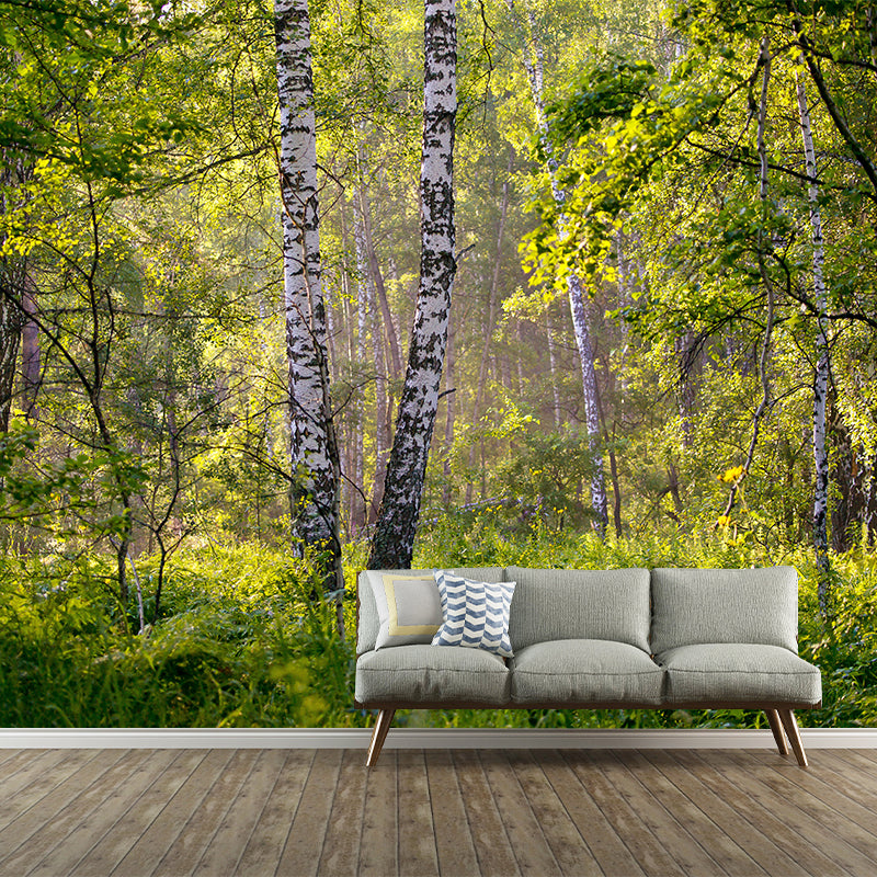 Forest Minimalism Style Mural Wallpaper for Living Room Bedroom, Waterproofing