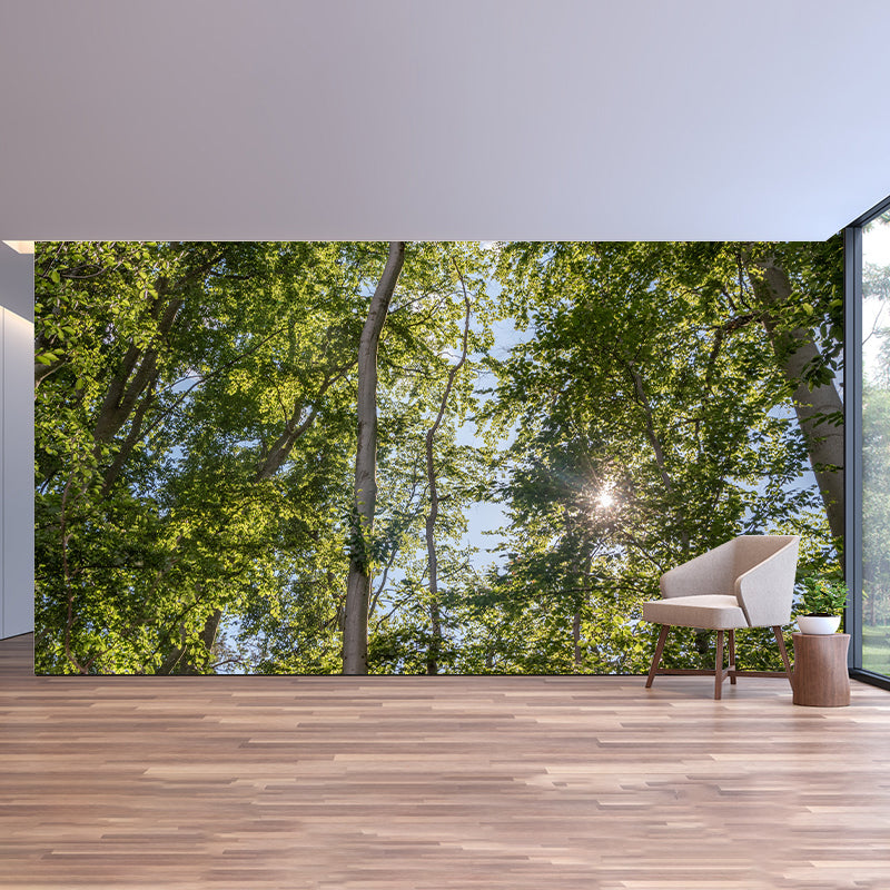 Minimalism Style Forest Removable Wall Mural for Sitting Room, Waterproofing