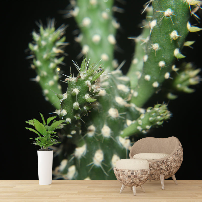 Cactus Mural Wallpaper Personalized Size Contemporary Wall Art for Reading Room