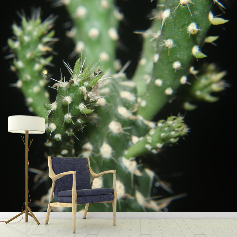 Cactus Mural Wallpaper Personalized Size Contemporary Wall Art for Reading Room