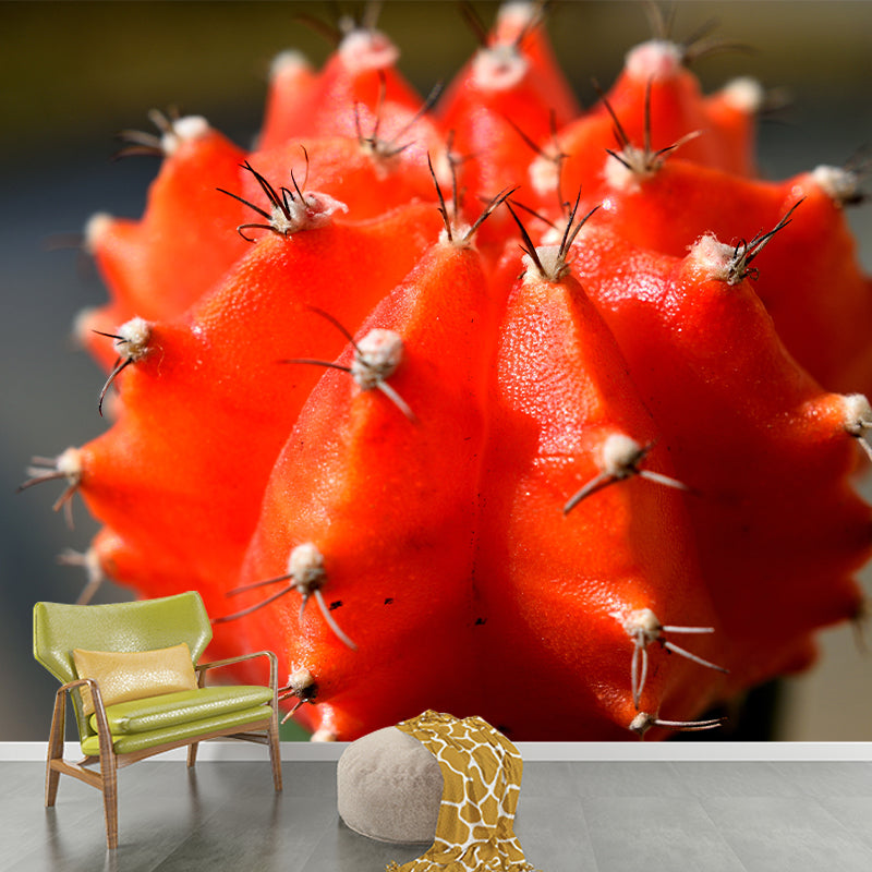 Cactus Mural Wallpaper Personalized Size Contemporary Wall Art for Reading Room