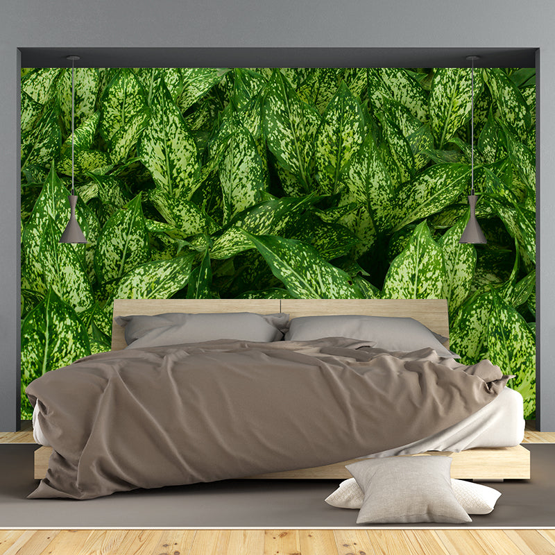 Simple Plant Wall Mural Decal for Bedroom Decoration, Moisture Resistant