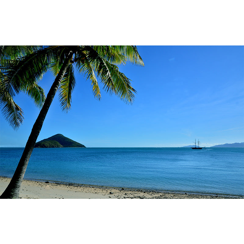 Seashore Landscape Removable Wall Mural for Gust Room, Moisture Resistant