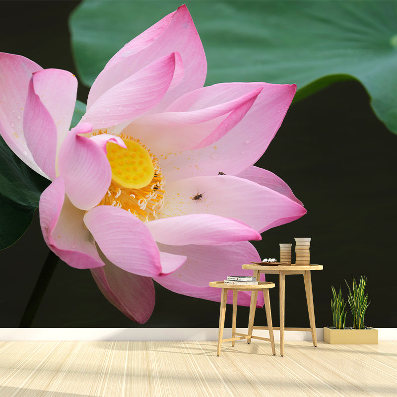 Beautiful Pink Lotus Removable Wall Mural for Sleeping Room, Moisture Resistant