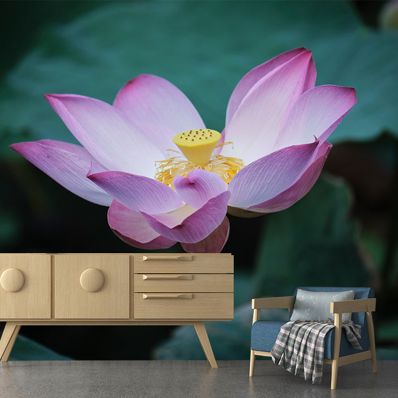 Beautiful Pink Lotus Removable Wall Mural for Sleeping Room, Moisture Resistant