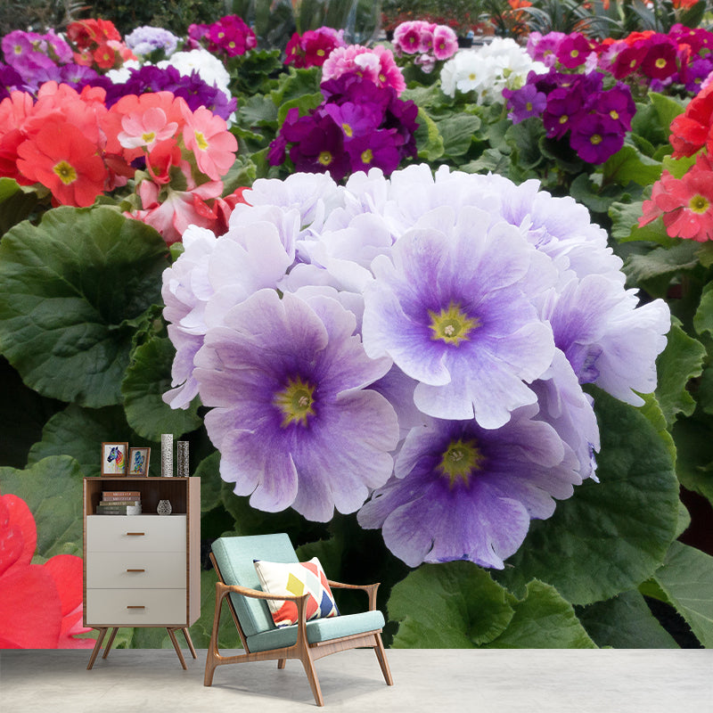 Primrose Mural Moisture Resistant Wallpaper Wall Decor for House Interior
