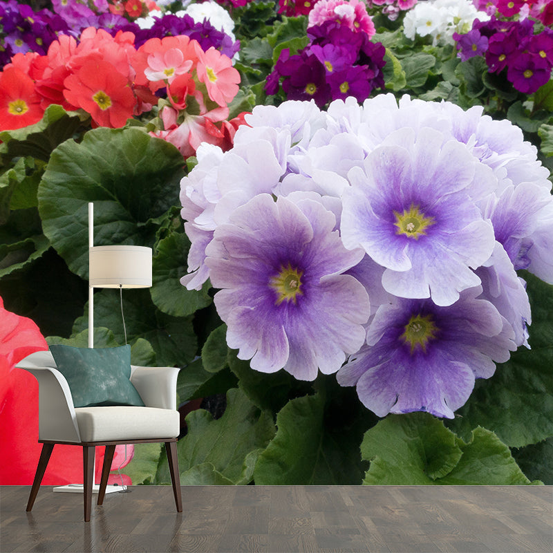 Primrose Mural Moisture Resistant Wallpaper Wall Decor for House Interior