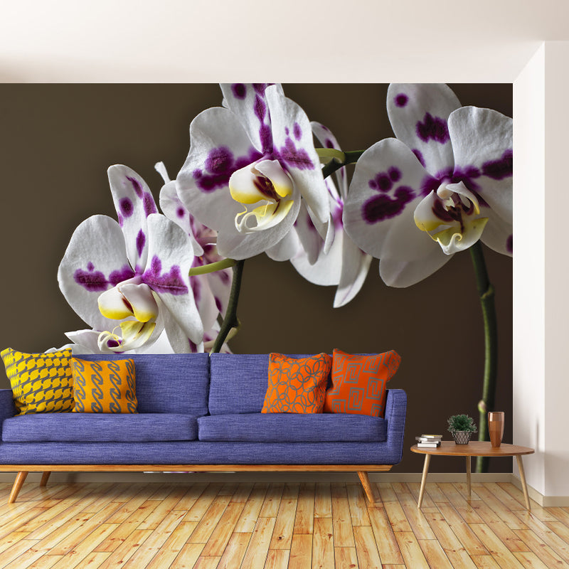 Phalaenopsis Mural Moisture Resistant Wallpaper Wall Decor for House Interior
