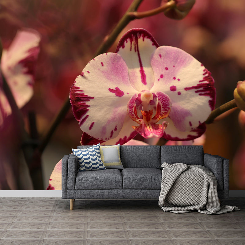 Phalaenopsis Mural Moisture Resistant Wallpaper Wall Decor for House Interior