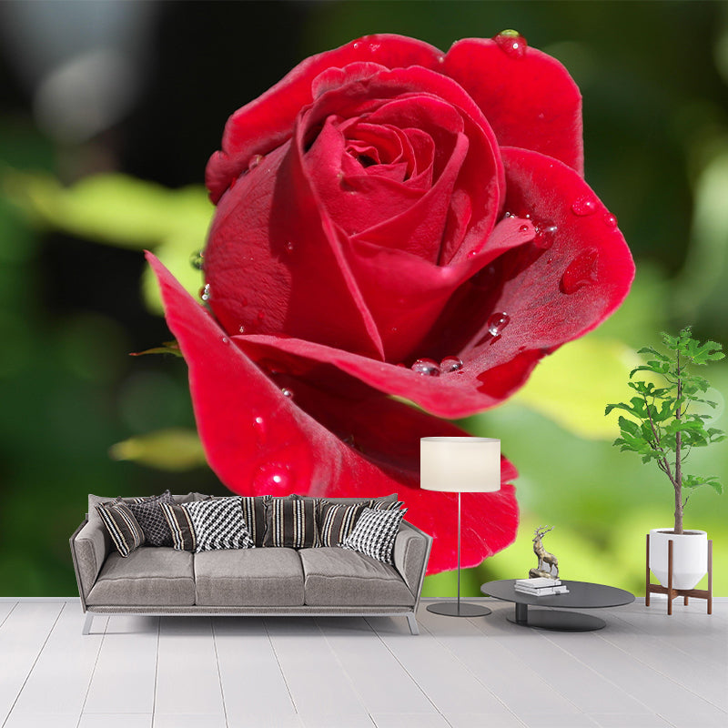 Blooming Rose Mural Moisture Resistant Wallpaper Wall Decor for House Interior