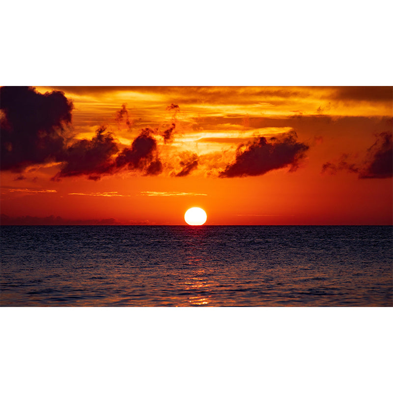 Moisture Resistant Seascape Mural Wallpaper Wall Decor for House Interior