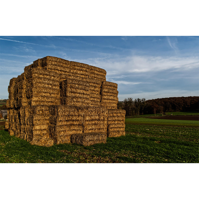 Customized Straw Bales Mural Environment Friendly Wallpaper for Fireplace