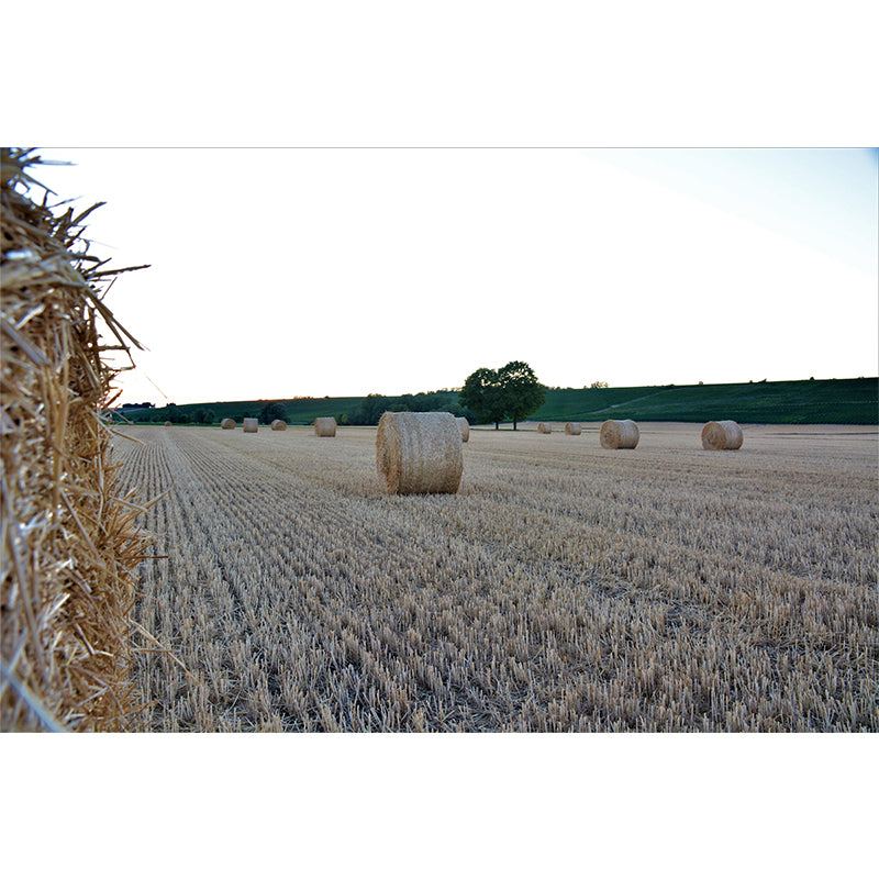 Customized Straw Bales Mural Environment Friendly Wallpaper for Accent Wall