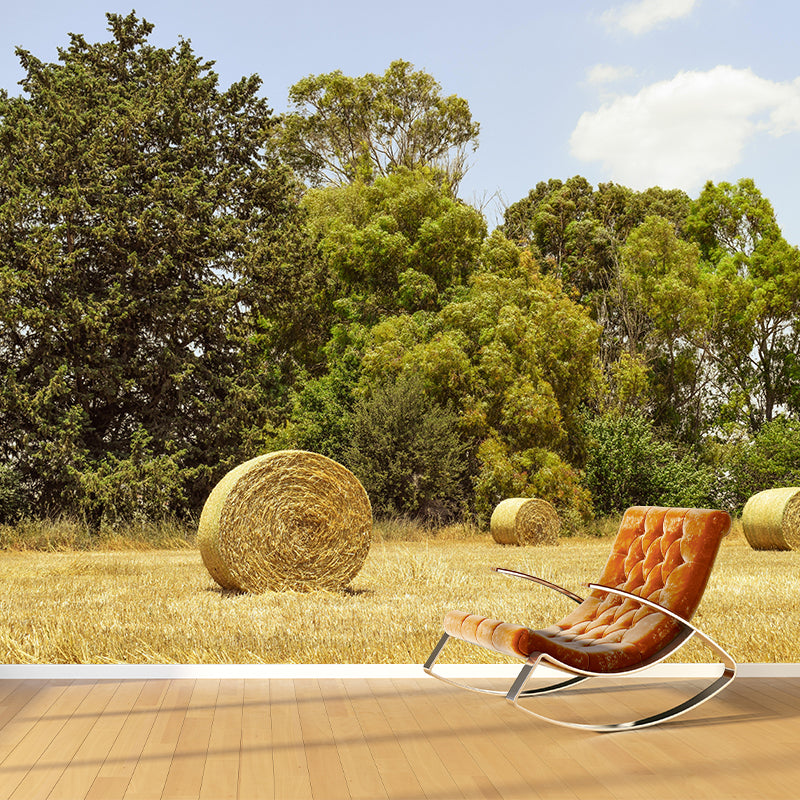 Straw Bales Mural Wallpaper Moisture Resistant Wall Decor for House Interior