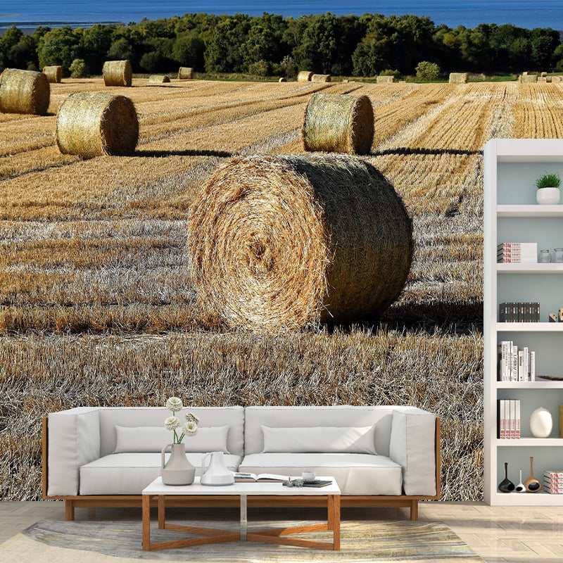 Straw Bales Mural Wallpaper Moisture Resistant Wall Decor for House Interior