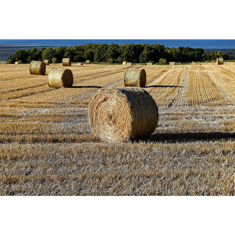 Straw Bales Mural Wallpaper Moisture Resistant Wall Decor for House Interior