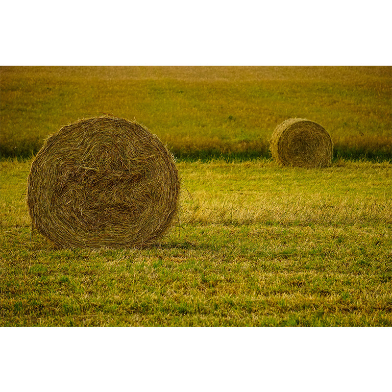 Customized Straw Bales Mural Environment Friendly Wallpaper for Reading Room