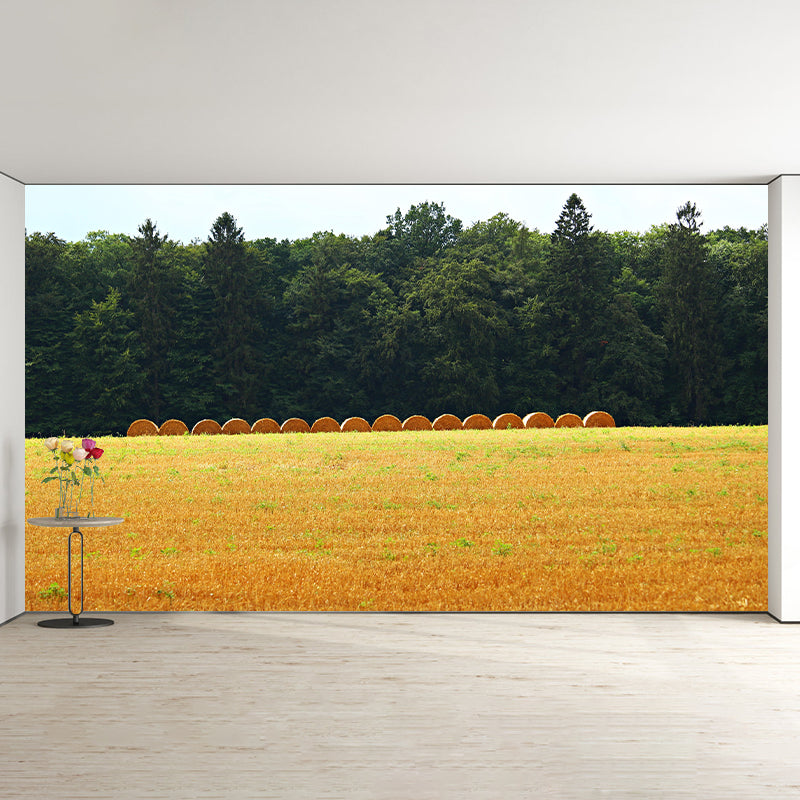 Customized Straw Bales Mural Environment Friendly Wallpaper for Reading Room