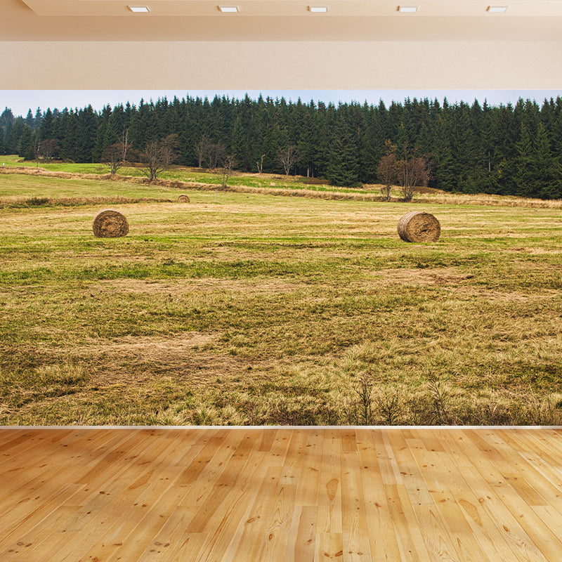 Customized Straw Bales Mural Environment Friendly Wallpaper for Reading Room